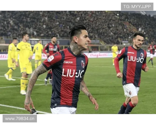 意甲赛事平台全面升级带来实时数据互动体验与球迷服务新生态